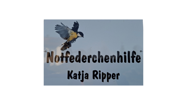 Notfederchenhilfe Katja Ripper